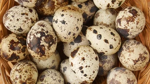 Quail eggs in a basket. Stock Footage 232011779