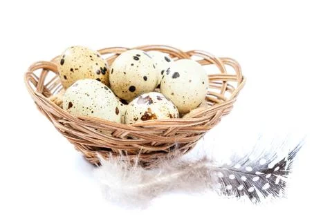 Quail eggs in a basket on white background. Stock Photos