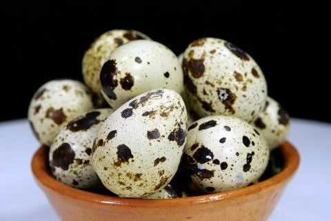 Quail eggs on black background, close-up shot Stockfoto's