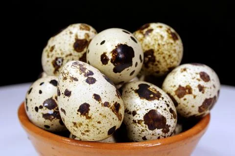 Quail eggs on black background, close-up shot 库存照片