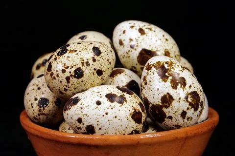 Quail eggs on black background, close-up shot Stock Photos