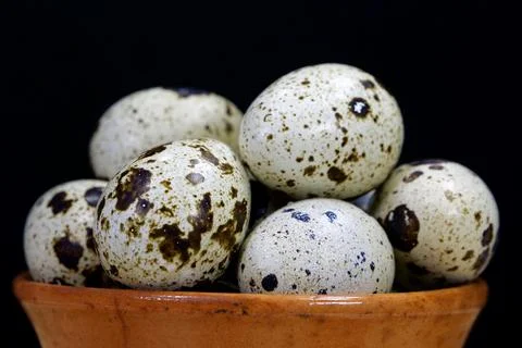 Quail eggs on black background, close-up shot Stockfoto's
