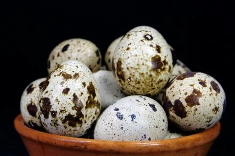 Quail eggs on black background, close-up shot Fotos de archivo
