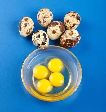 Quail eggs on blue Stock Photos