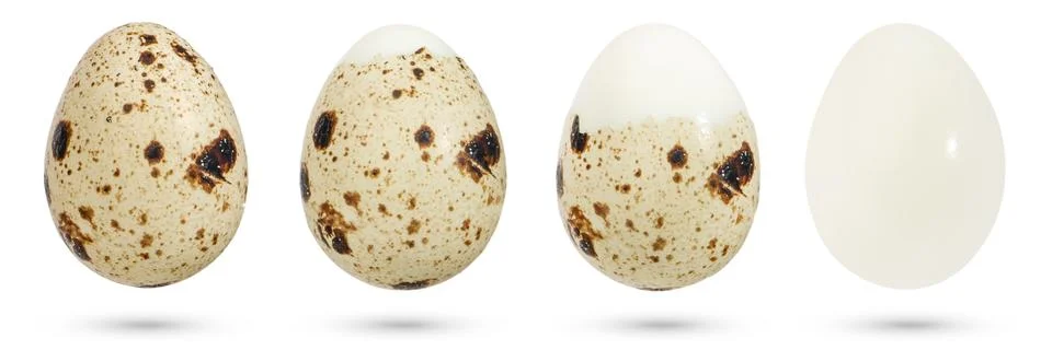 Quail eggs. Boiled eggs in the process of peeling the shell on a white isolated Foto stock