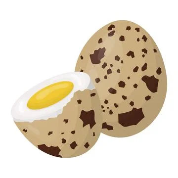 Quail eggs. Boiled eggs in a shell. Vector illustration 스톡 일러스트
