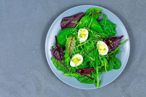 Quail eggs boiled on a lettuce leaf with microgreen sprouts. The concept of Stock Photos