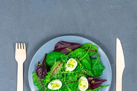 Quail eggs boiled on a lettuce leaf with microgreen sprouts with a wooden fork Stock Photos