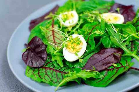 Quail eggs boiled on a lettuce leaf with microgreen sprouts. Proper nutrition Stock Photos
