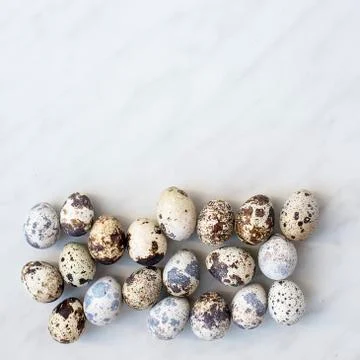 Quail eggs at the bottom of the marble surface Stock Photos
