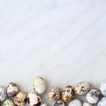 Quail eggs at the bottom of the marble surface Stock Photos