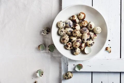 Quail eggs in a bowl on a white table. Stock Photos
