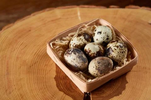 Quail eggs in a box on a round log, top view, selective focus. Stock Photos