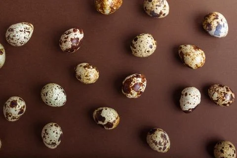 Quail eggs on a brown background. Easter festive background. Flat lay Foto stock