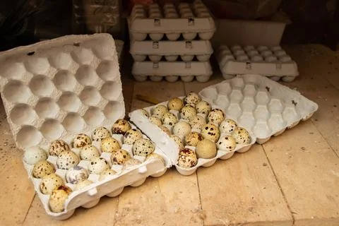 Quail eggs in cardboard boxes on a wooden board in a quail breeding plant Stock Photos