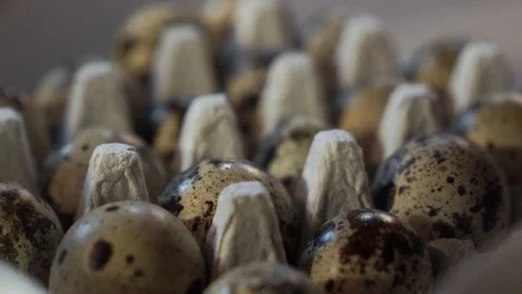 Quail eggs in cardboard packaging. Stock Footage 116806688