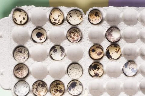 Quail eggs in cardboard packaging in random order..Vegetarian organic food. E Stock Photos