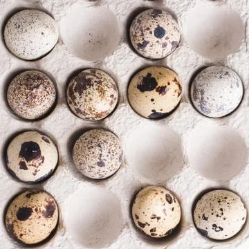 Quail eggs in cardboard packaging in random order..Vegetarian organic  eco fo Stock Photos
