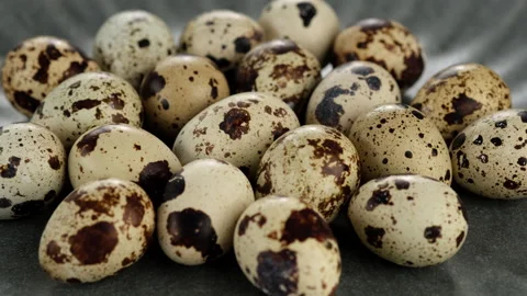 Quail eggs close up rotating Stock Footage 138134603