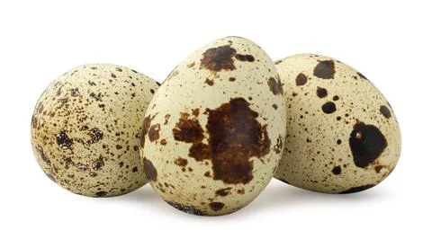 Quail eggs close-up on a white. Isolated Stock Photos