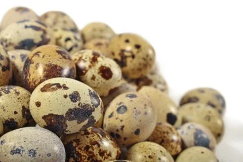 Quail eggs close up on a white Stock Photos