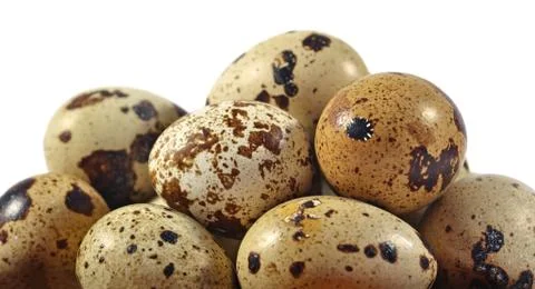 Quail eggs close up on a white Stock Photos