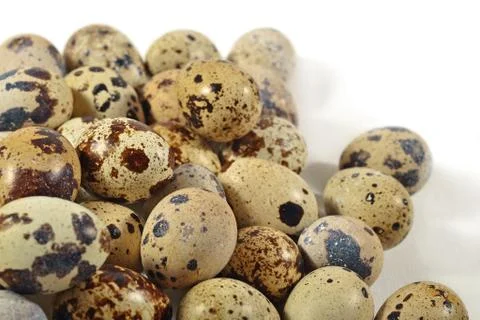 Quail eggs close up on a white Foto stock