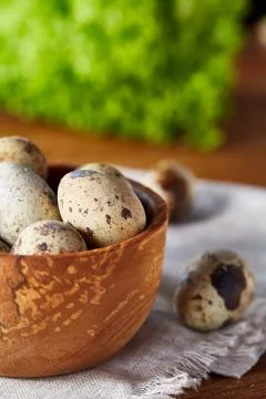 Quail eggs in the container over rustic wooden table, close-up, high angle view Stock Photos