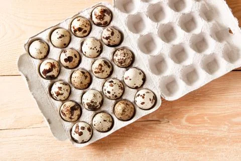 Quail eggs in a container Stock Photos