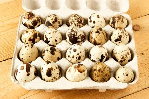 Quail eggs in a container Stock Photos