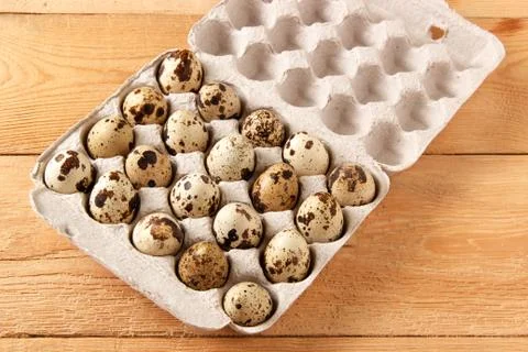 Quail eggs in a container Stock Photos