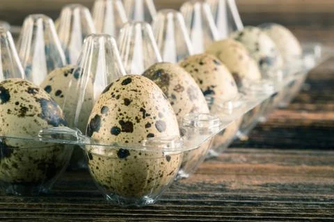 Quail eggs in the container Stock Photos