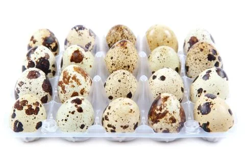 Quail eggs in the container on white background. Stock Photos