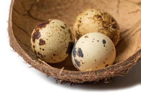 Quail eggs in a cup of coconut shell Foto stock