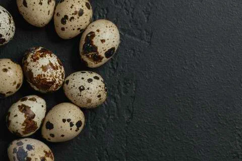 Quail eggs on dark background. Stock Photos