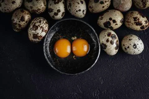 Quail eggs on a dark background. Stock Photos