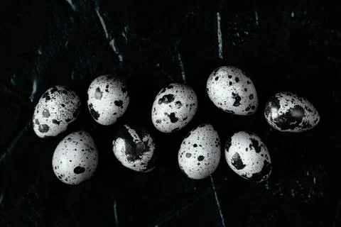 Quail eggs on dark background. Raw quail eggs. Top view Stock Photos