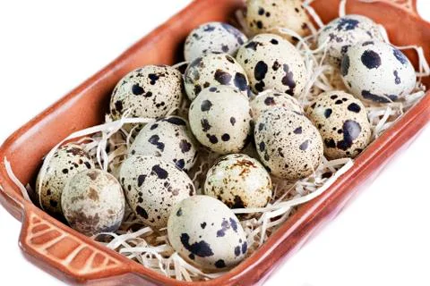 Quail eggs in dish Stock Photos