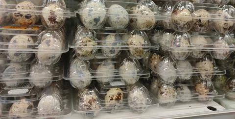 Quail eggs in disposable transparent plastic containers Stock Photos