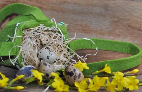 Quail eggs for easter Stock Photos