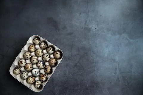Quail eggs in an eco-friendly container. Dark background. The view from the t Stock Photos