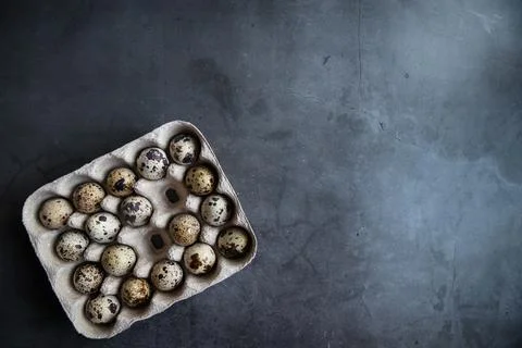 Quail eggs in an eco-friendly container. Dark background. The view from the t Foto stock