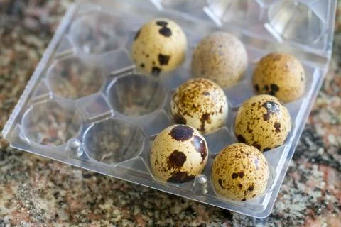 Quail eggs on egg box Stock Photos