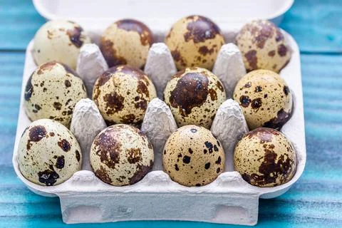 Quail eggs in an egg pack against a blue wooden background Stock Photos