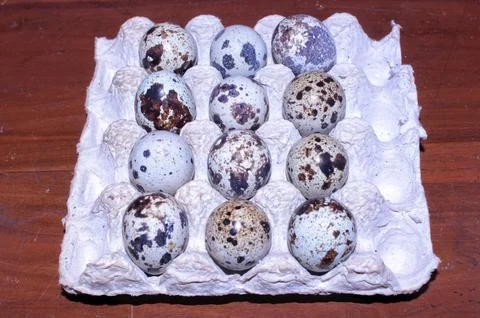 Quail Eggs On Egg Tray Stock Photos