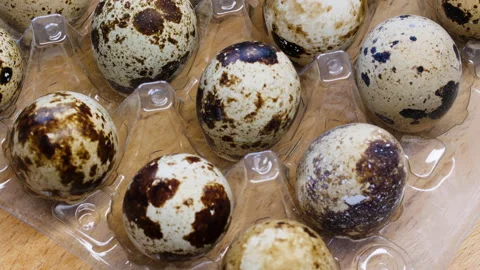 Quail eggs in an egg tray. Slow motion. Spotted raw quail eggs in transparent Stock Footage 210871252