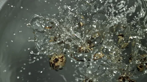 Quail eggs fall into a pot of water. Filmed on a high-speed camera at 1000 fps. Stock-Footage 322762146