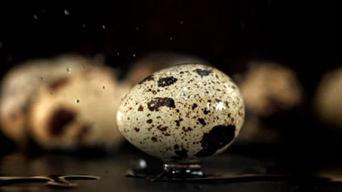 Quail eggs fall on a wet table. Filmed on a high-speed camera at 1000 fps. Stock Footage 322743458