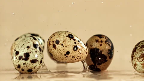 Quail eggs fall on a wet table. Filmed on a high-speed camera at 1000 fps. Stock Footage 322753900