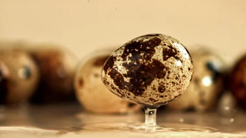 Quail eggs fall on a wet table. Filmed on a high-speed camera at 1000 fps. Stock Footage 322756633
